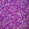 Pink Multi Specialty Glitter by Recollections™